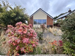 Photo 16- click for photo gallery